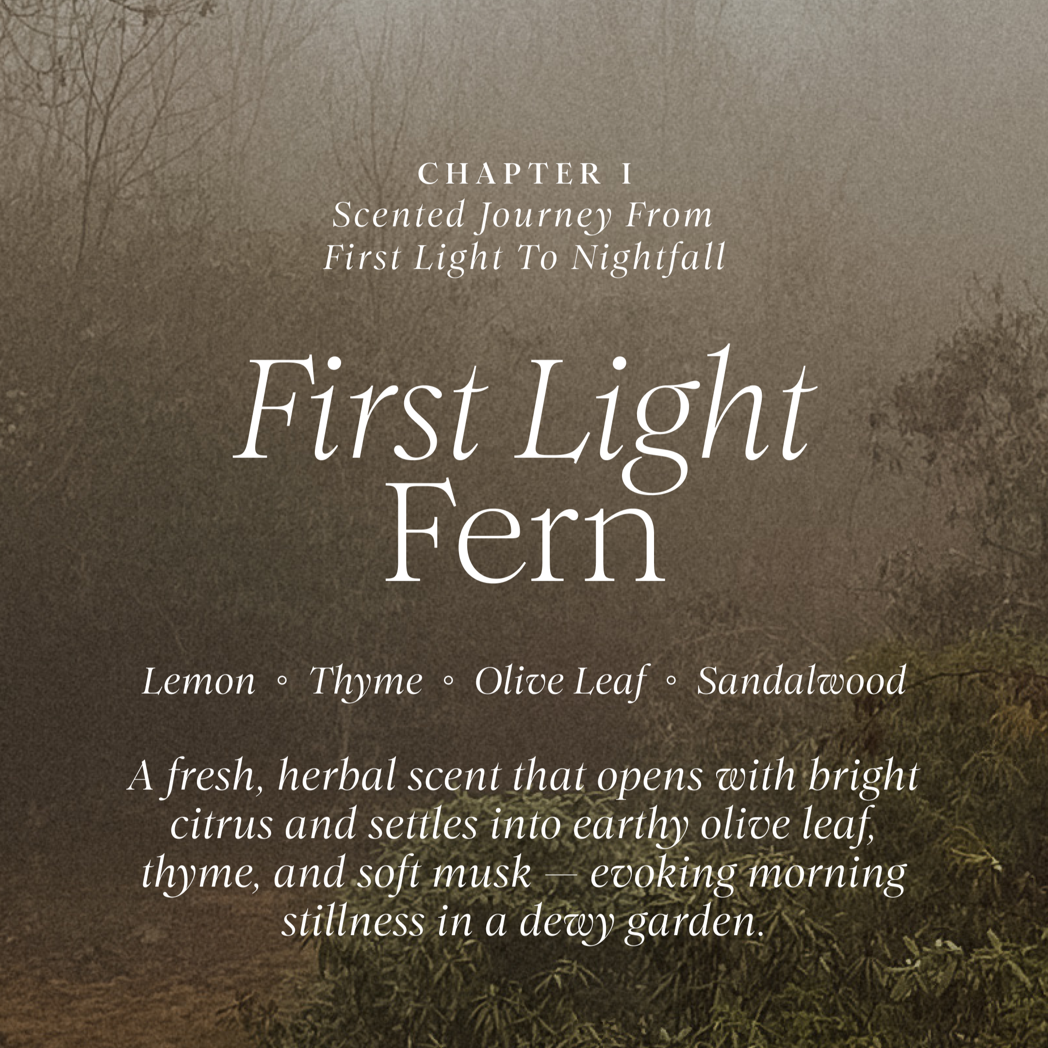 First Light Fern' by Lunaire with a misty forest background.