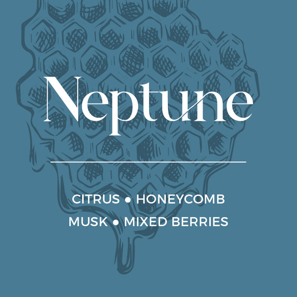 Neptune Refill | Honeycomb + Musk