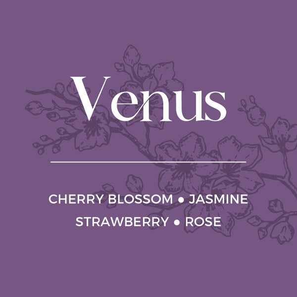 Venus Refill | Cherry Blossom + Strawberry