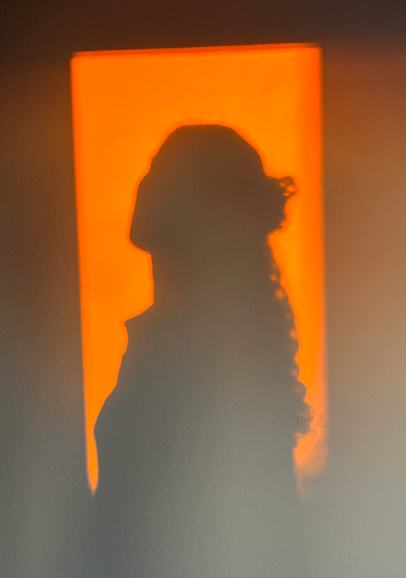 womans silhouette in the sun 