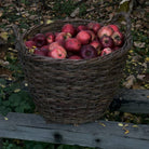 Wicker basket filled with red apples on a wooden bench outdoors.