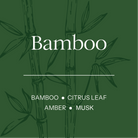 Bamboo illustration with product description on a green background