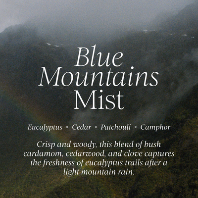 Blue Mountains Mist Refill | Eucalyptus + Cedar