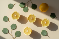 Bushwalk in the Blue Mountains