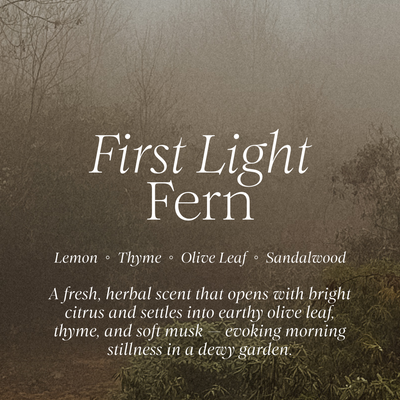 First Light Fern Refill | Thyme + Olive