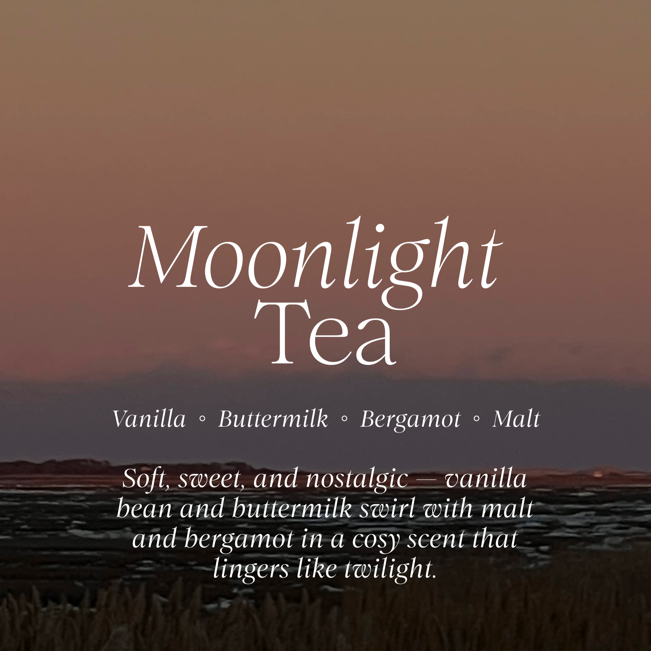 Promotional image for 'Moonlight Tea' with a scenic background