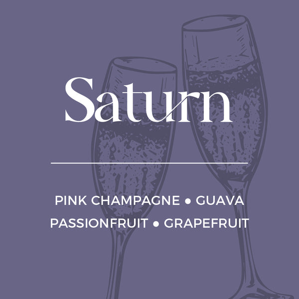 Saturn Refill | Pink Champagne + Grapefruit