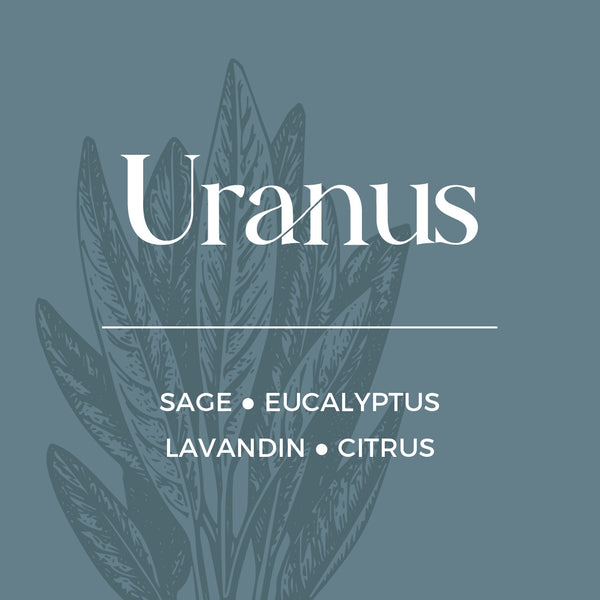 Uranus Refill | Sage + Citrus